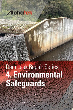 Dam Leak Repair Series - 4. Environmental Safeguards